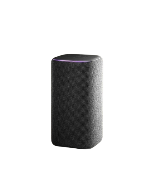 Xiaomi OH2P Speaker Bluetooth Portable WiFi Smart Control Super Xiao AI